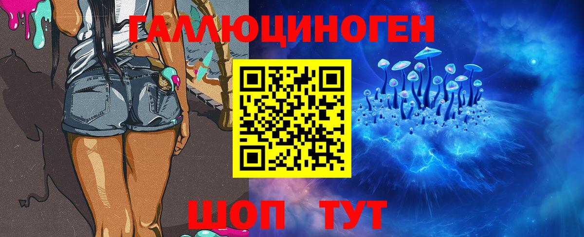 Псилоцибиновые грибы GOLDEN TEACHER  как найти закладки  Вход с VPN  Северск  Галлюциногенные грибы Cubensis 